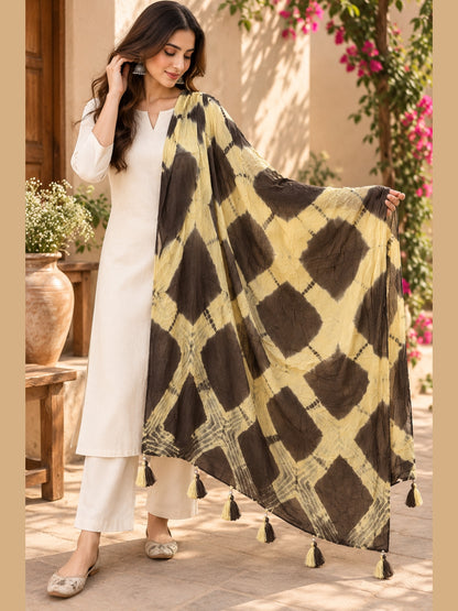 The Earthy Tie-Dye Dupatta